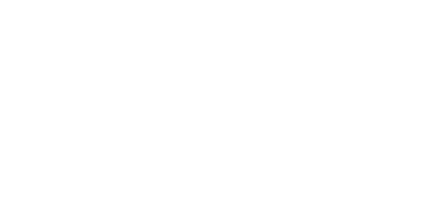 Big Bull company light logo