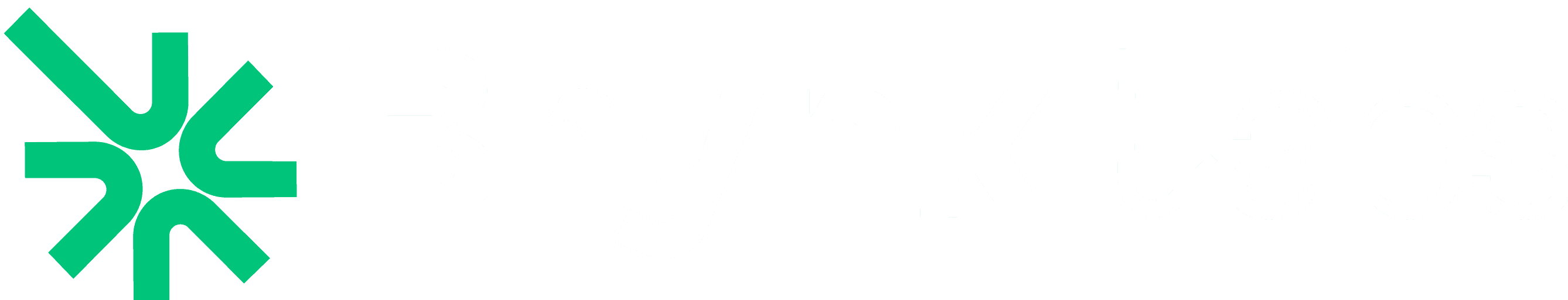rynk Labs light logo